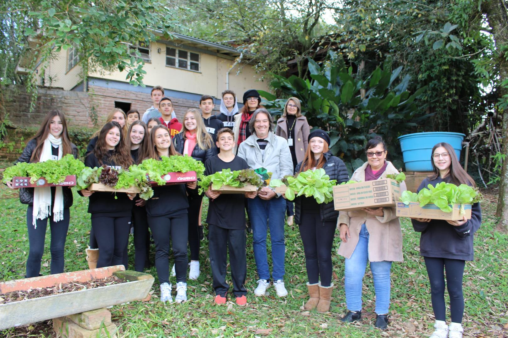 Colheita solidária: alfaces cultivadas por alunos são doadas para entidades sociais