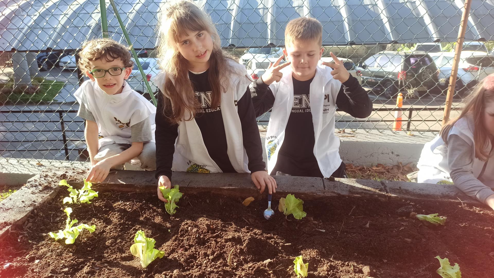 Horta é cultivada em aula pelos Monitores Ecológicos da Unidade Pindorama 