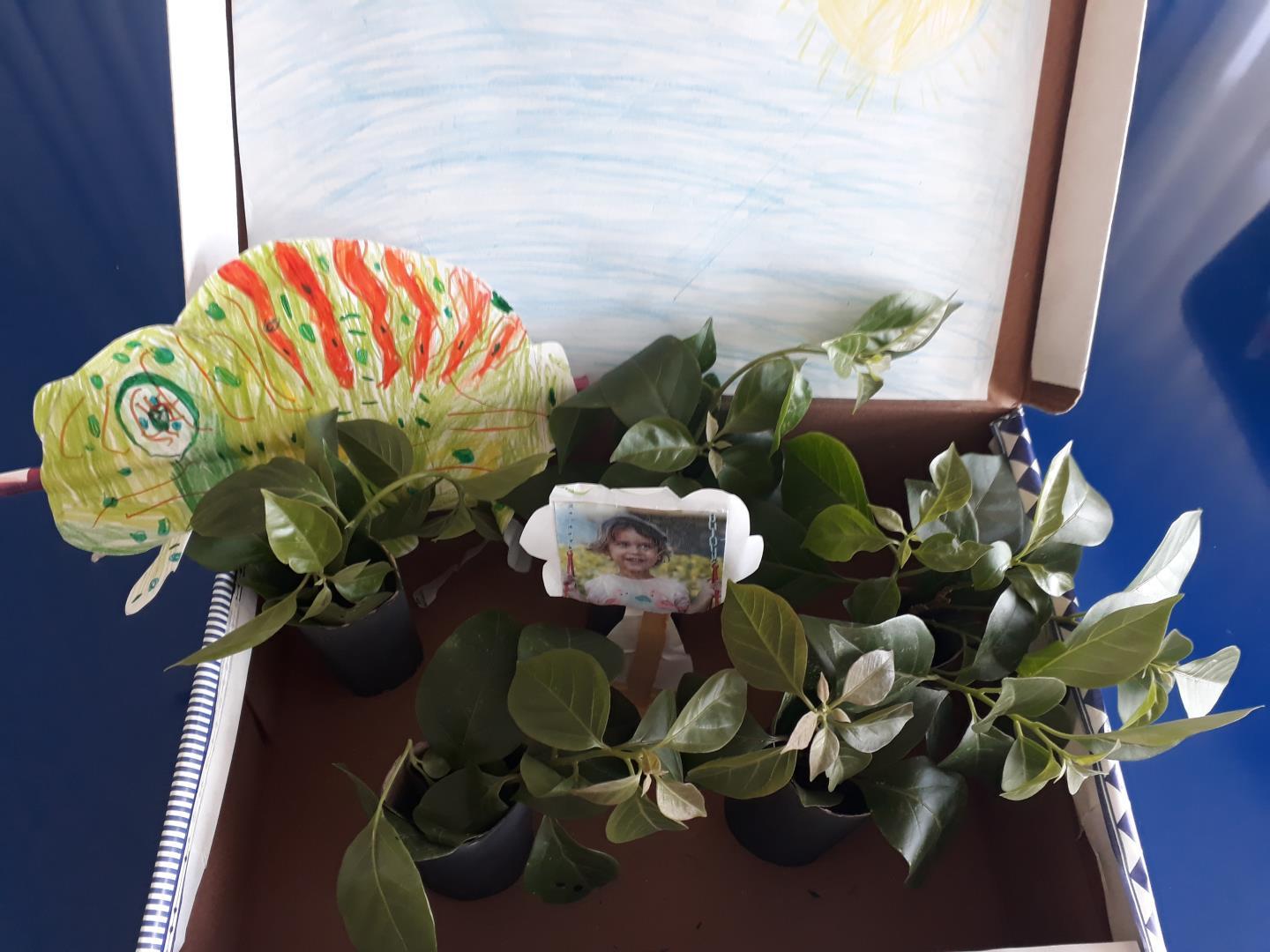 Imaginação e diversão: Níveis 3 constroem florestas em caixas  Imaginação e diversão: Níveis 3 constroem florestas em caixas