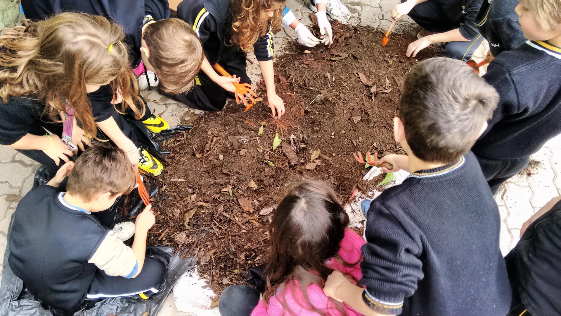 Mini-hortas são construídas na Unidade Pindorama