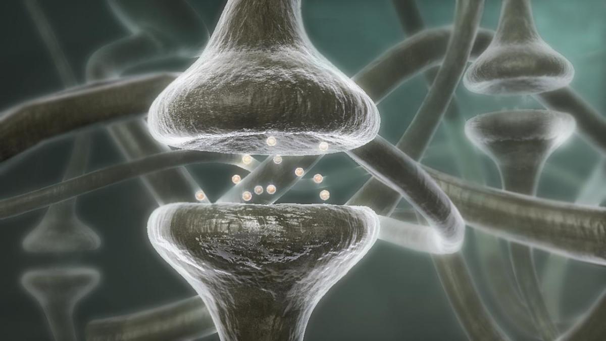 Neurocognição e Aprendizagem: tema da Pós-Graduação com inscrição aberta na Faculdade IENH