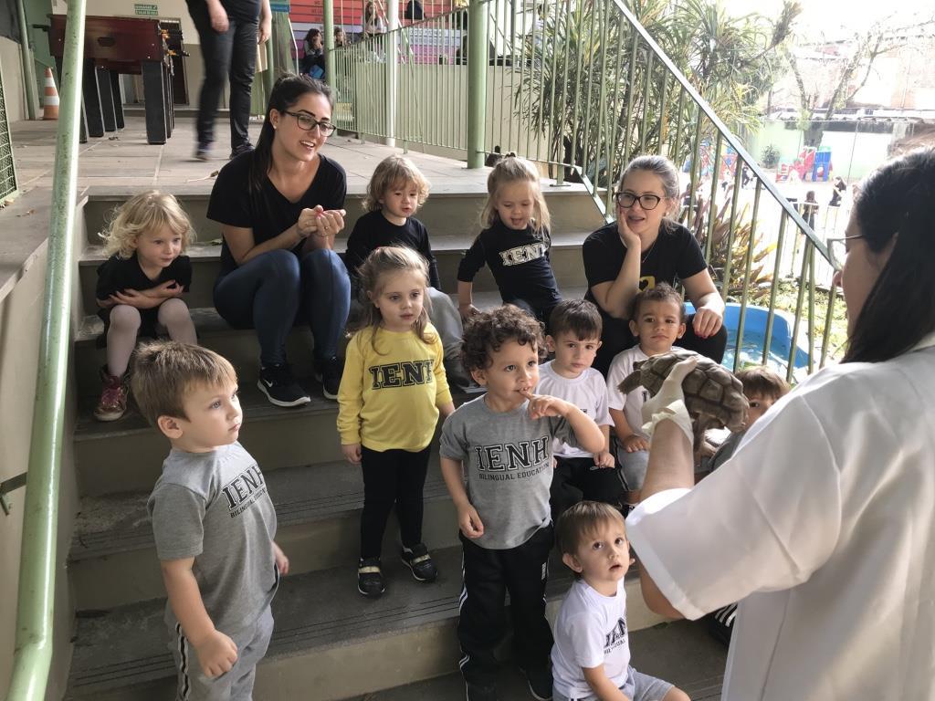 Nível 2A da Educação Infantil explora espaços da Unidade Pindorama para estudar os quelônios Nível 2A da Educação Infantil explora espaços da Unidade Pindorama para estudar os quelônios