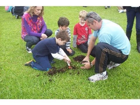 Alunos da Unidade Oswaldo Cruz plantam mudas de araucária