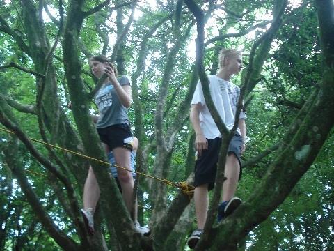 Alunos participam de atividade de Arvorismo