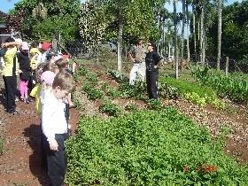 Alunos da Unidade Pindorama realizam atividades do Projeto Saber Ambiental