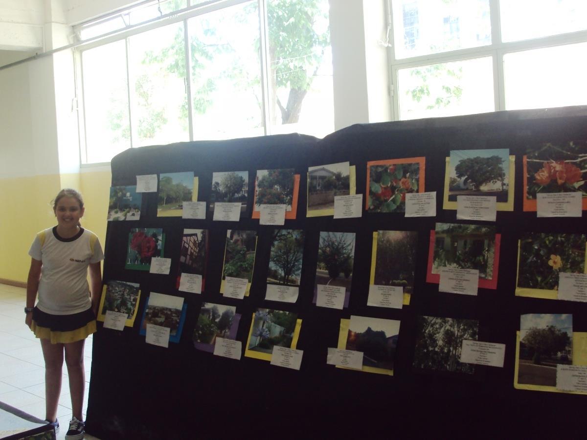 Estudantes criam livro virtual sobre Bairros de Novo Hamburgo