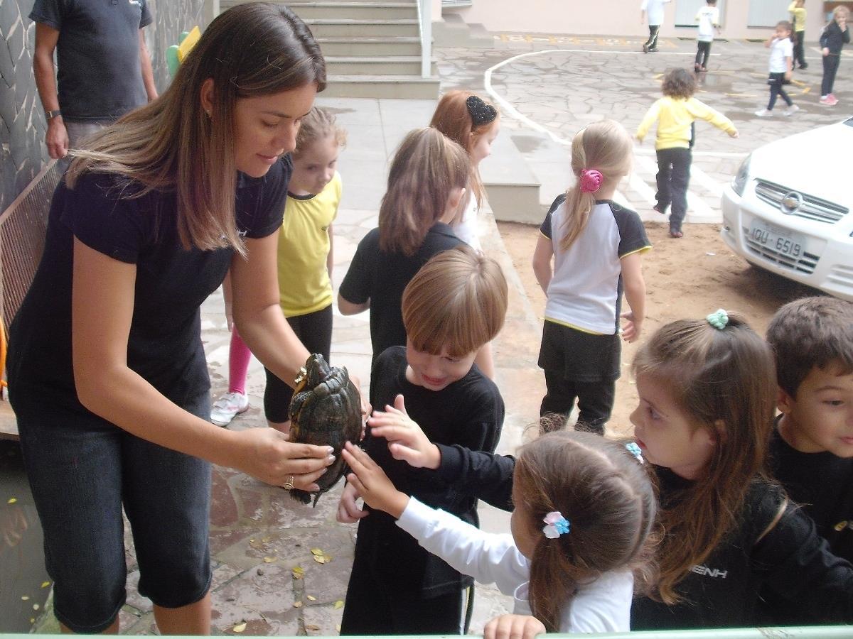 Tartarugas da Unidade Oswaldo Cruz ganham novo espaço