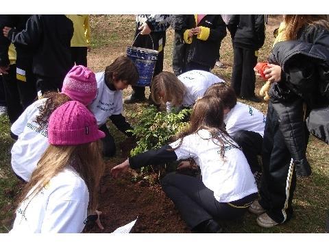 Monitores Ecológicos da Unidade Oswaldo Cruz realizam ações no primeiro semestre