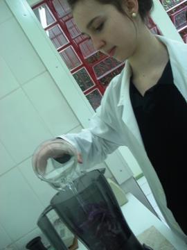 Atividade prática de Química sobre índice de pH