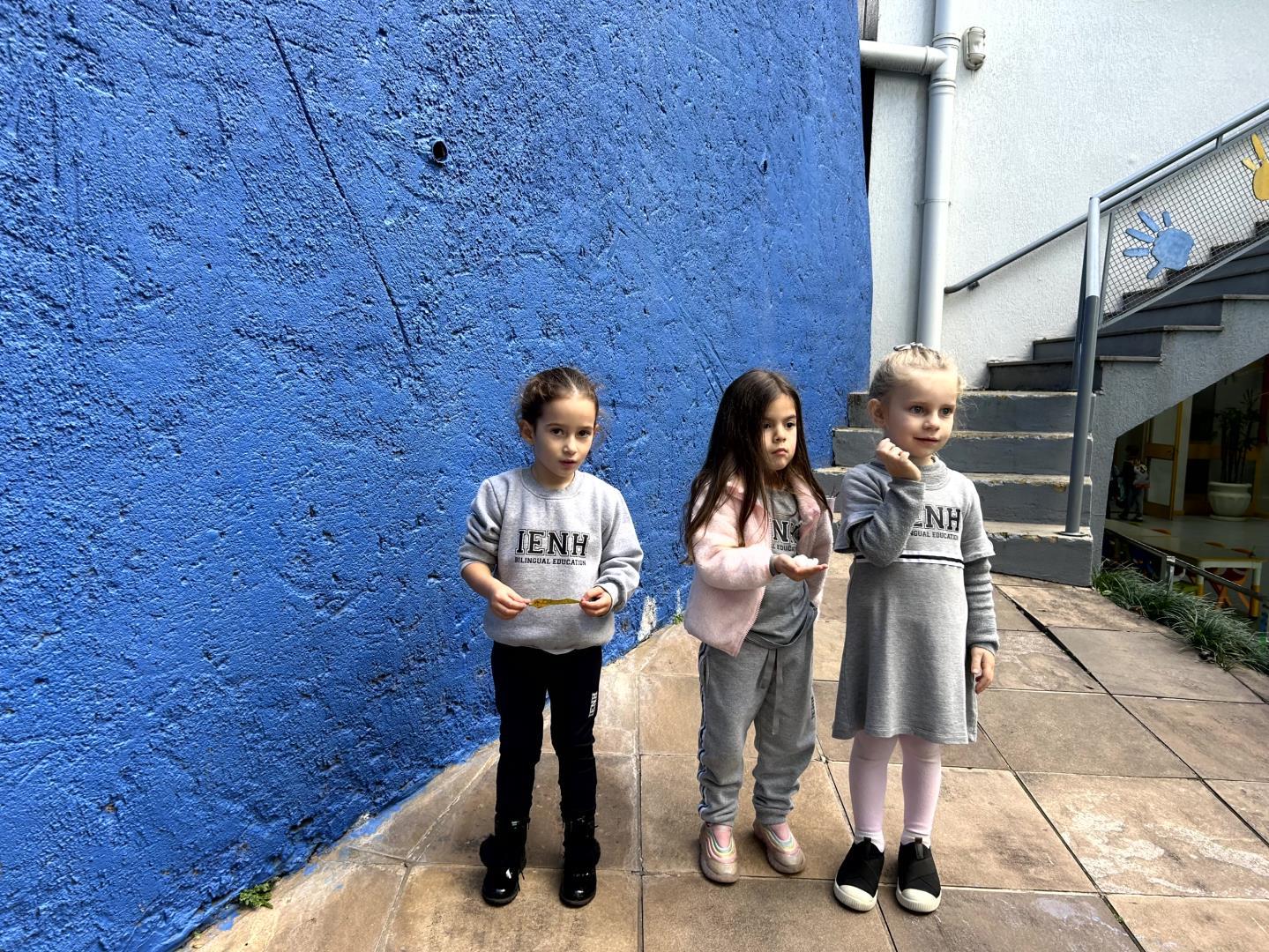 Sementes que voam inspiram descobertas ao ar livre no Kindergarten 3A da Unidade Pindorama 