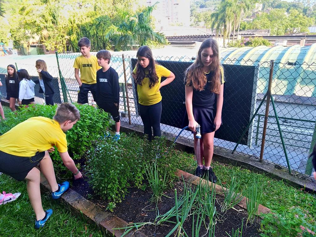 Turma pratica técnicas de Mindfulness a partir da colheita de chá na Horta Escolar