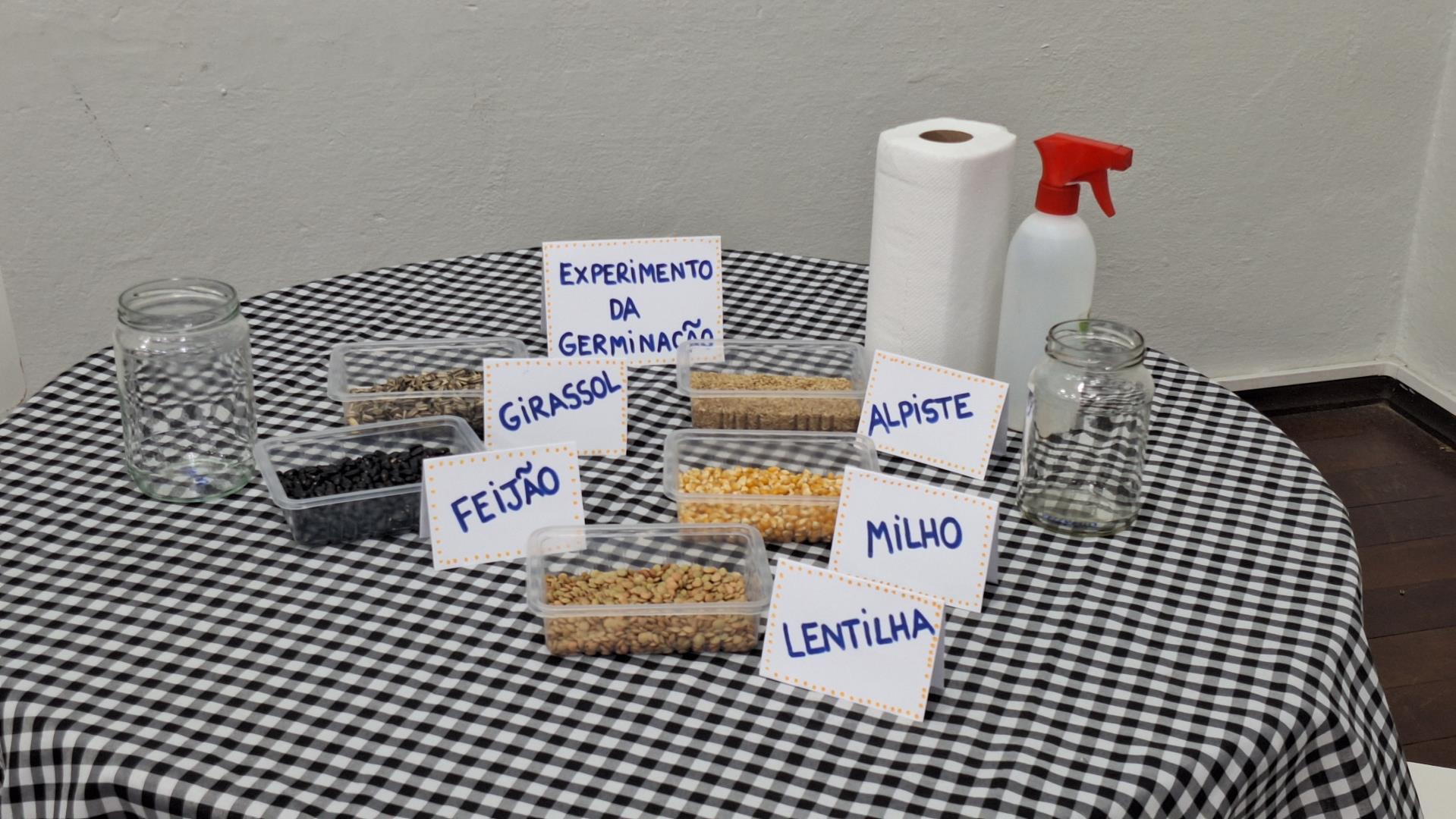 Year 2 da Unidade Pindorama investiga a germinação de sementes em experimento científico