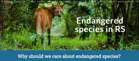 Alunos bilíngues elaboram sites colaborativos sobre animais em extinção Alunos bilíngues elaboram sites colaborativos sobre animais em extinção