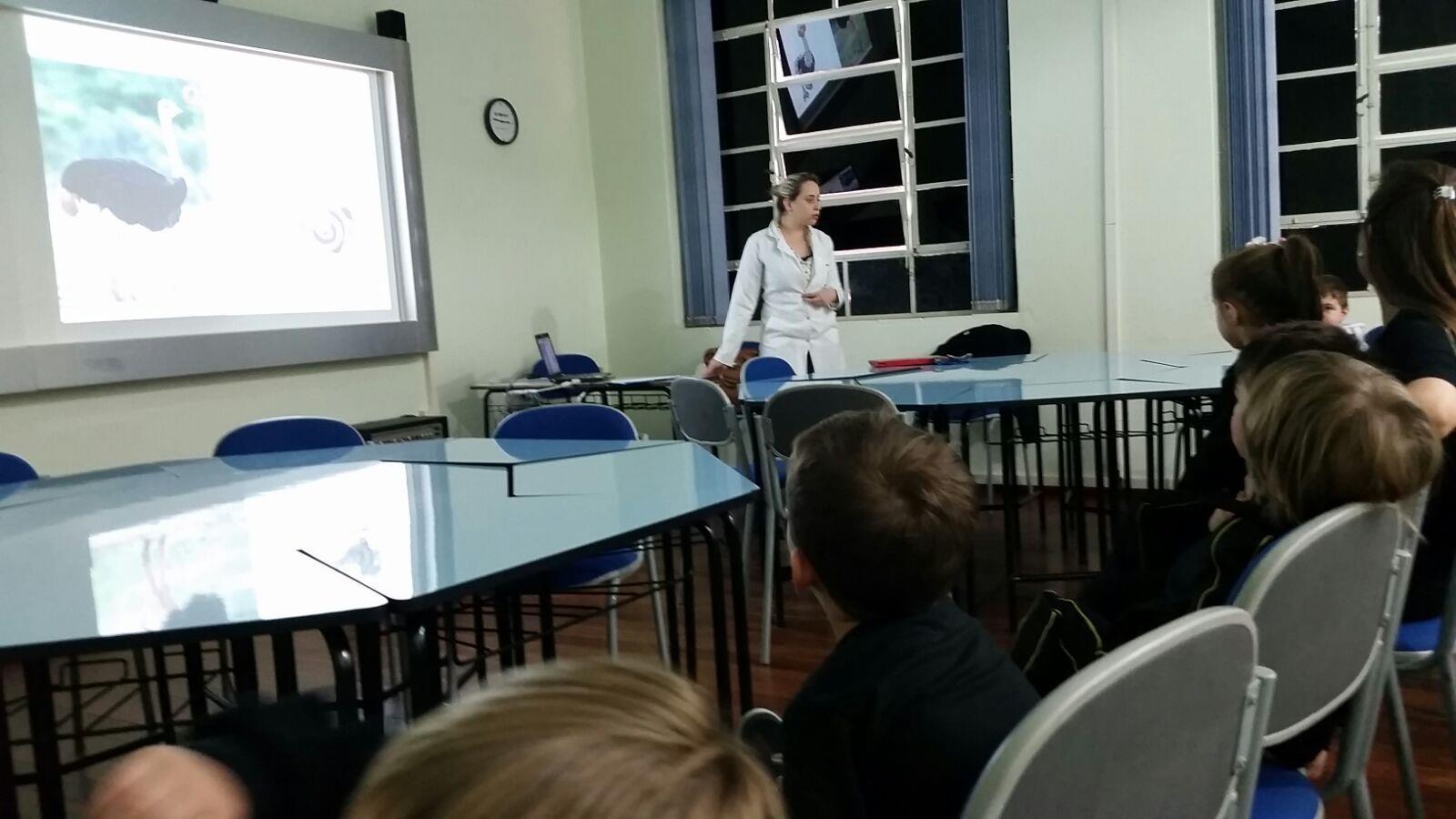 Alunos do Nível 3B conversam com estudante de Medicina Veterinária