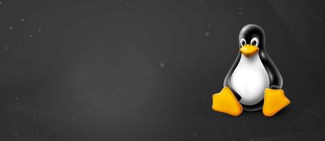 Faculdade IENH promove Curso de Extensão em Linux - módulo I