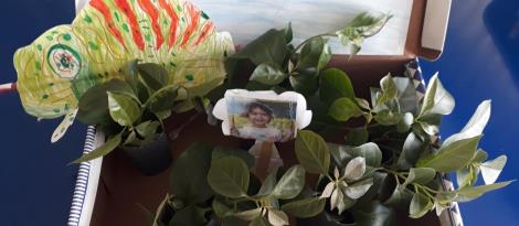 Imaginação e diversão: Níveis 3 constroem florestas em caixas  Imaginação e diversão: Níveis 3 constroem florestas em caixas