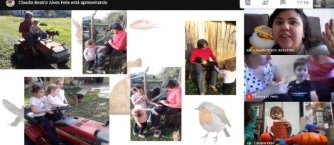 Níveis 2 aprendem sobre animais de estimação Níveis 2 aprendem sobre animais de estimação