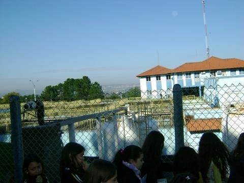 Estudantes conhecem a Comusa