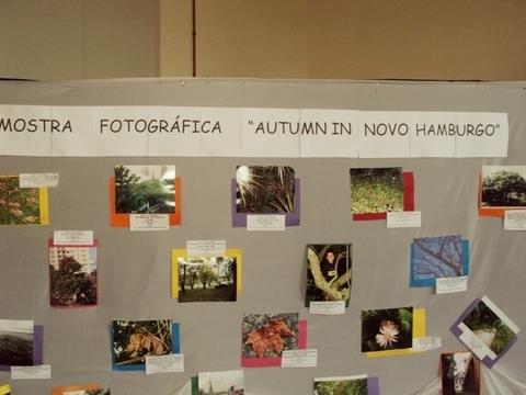 Alunos do Currículo Bilíngue organizam Mostra Fotográfica