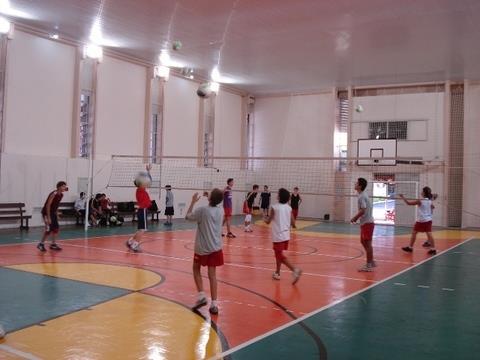Voleibol na IENH