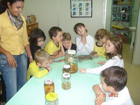 Alunos da IENH aprendem com atividade em Língua Inglesa