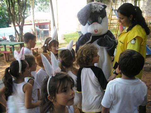 Festa Entre chocolates e cenouras