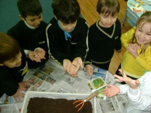 Estudantes exploram sementes