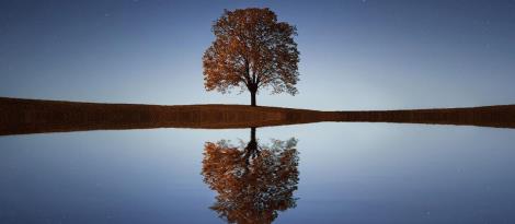 Programa Avançado de Mindfulness com inscrições abertas na Faculdade IENH